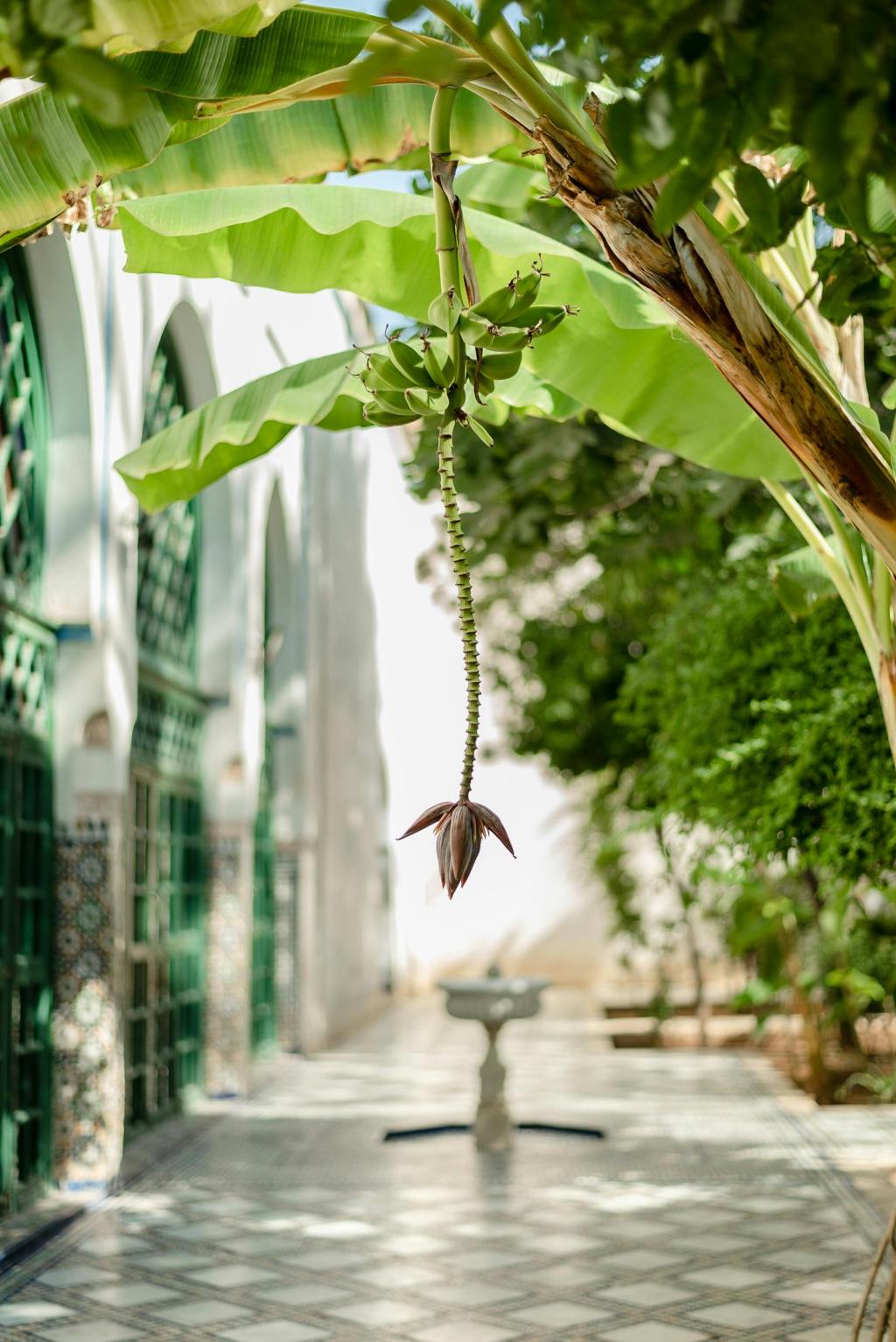 A beautifully styled Moroccan-inspired living space featuring vintage mid-century armchairs, a patterned sofa, and striking portrait artwork on textured walls. The room blends traditional and modern design with earthy tones, geometric tile flooring, and rustic ceiling details, creating a warm and sophisticated ambiance